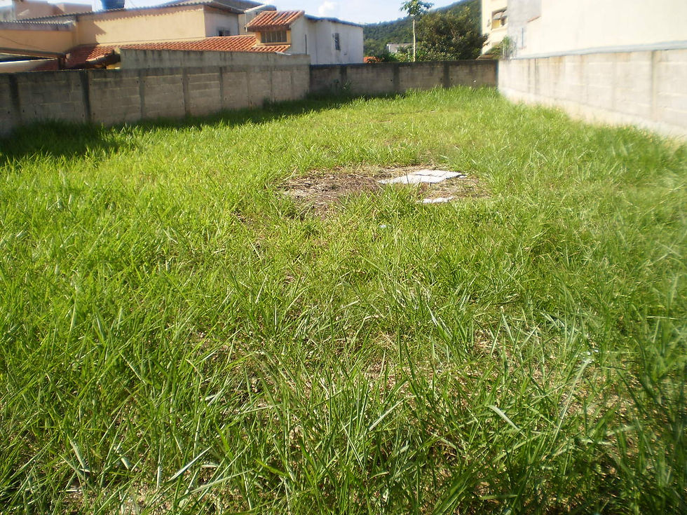 Zildo Corretor de Imóveis