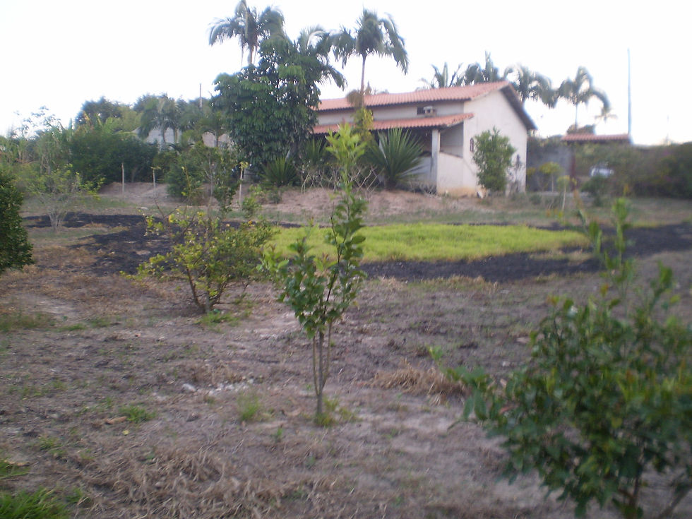 Zildo Corretor de Imóveis