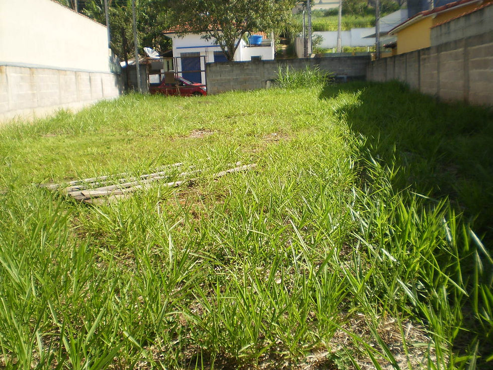 Zildo Corretor de Imóveis