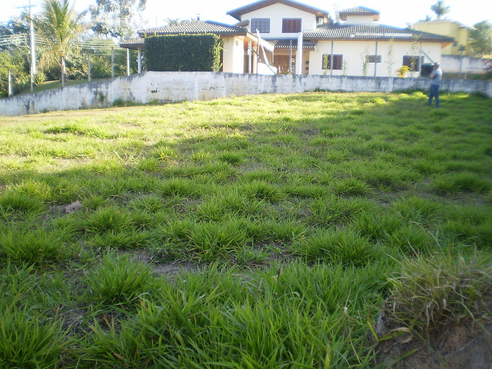Zildo Corretor de Imóveis