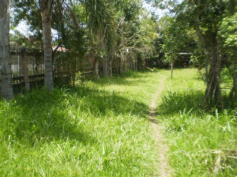 Zildo Corretor de Imóveis