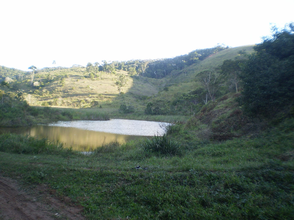 Zildo Corretor de Imóveis