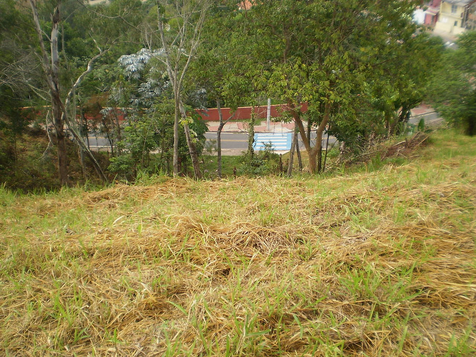 Zildo Corretor de Imóveis