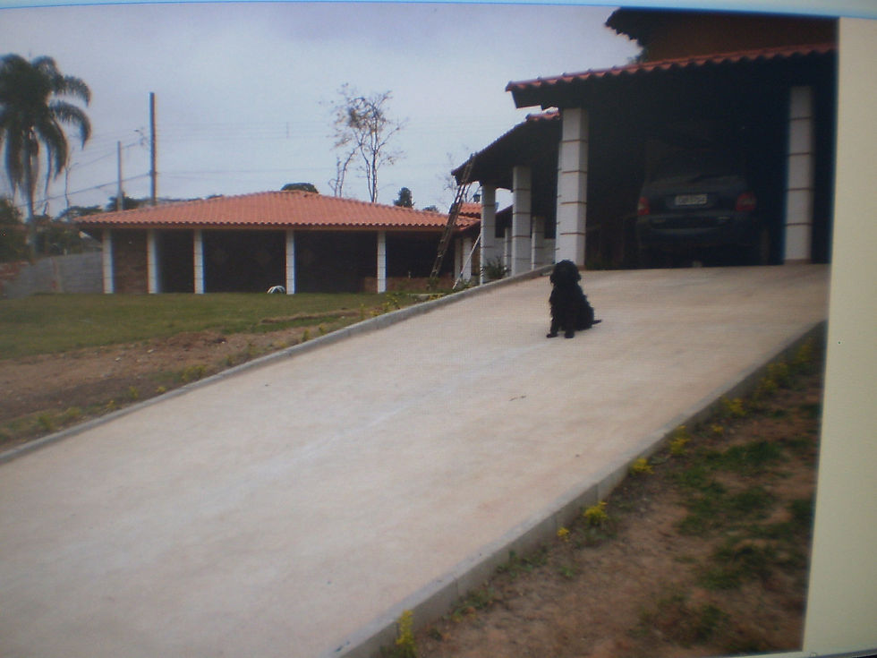 Zildo Corretor de Imóveis