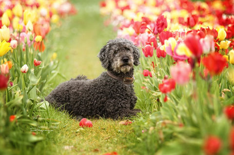 WhatsApp Image 2023-06-02 at 08.22.47 (3).jpeg