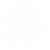 VGI-Website (1).png