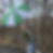 Thumbnail: KDL Umbrella - Green