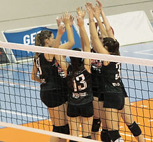 Pallavolo