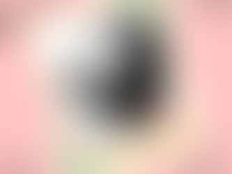 P&P Spotlight: Lila Holler