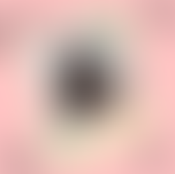 P&P Spotlight: Julia Adrian