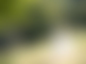 Choosing a Venue with The Greystone Estate