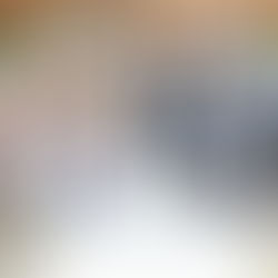 Real Bride Spotlight: Lisa