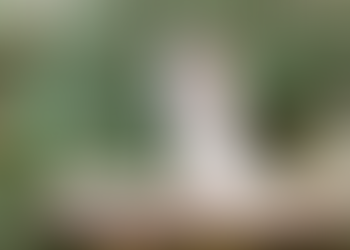 The Reviews are In...