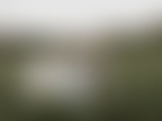 Real Bride Spotlight: McKenzie