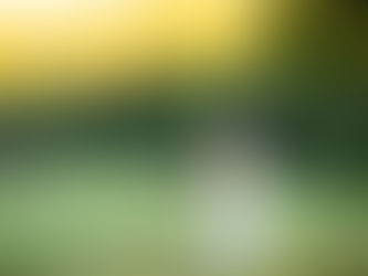 Designer Spotlight: Essense of Australia