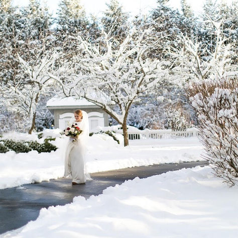 Real Bride Spotlight: Hannah