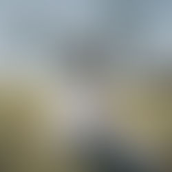 Real Bride Spotlight: Victoria