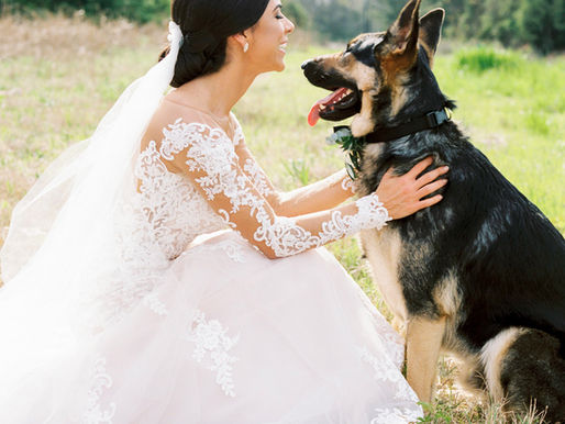 Some of our Favorite Moments from 2018