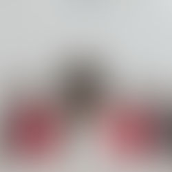 Real Bride Spotlight: Taylor