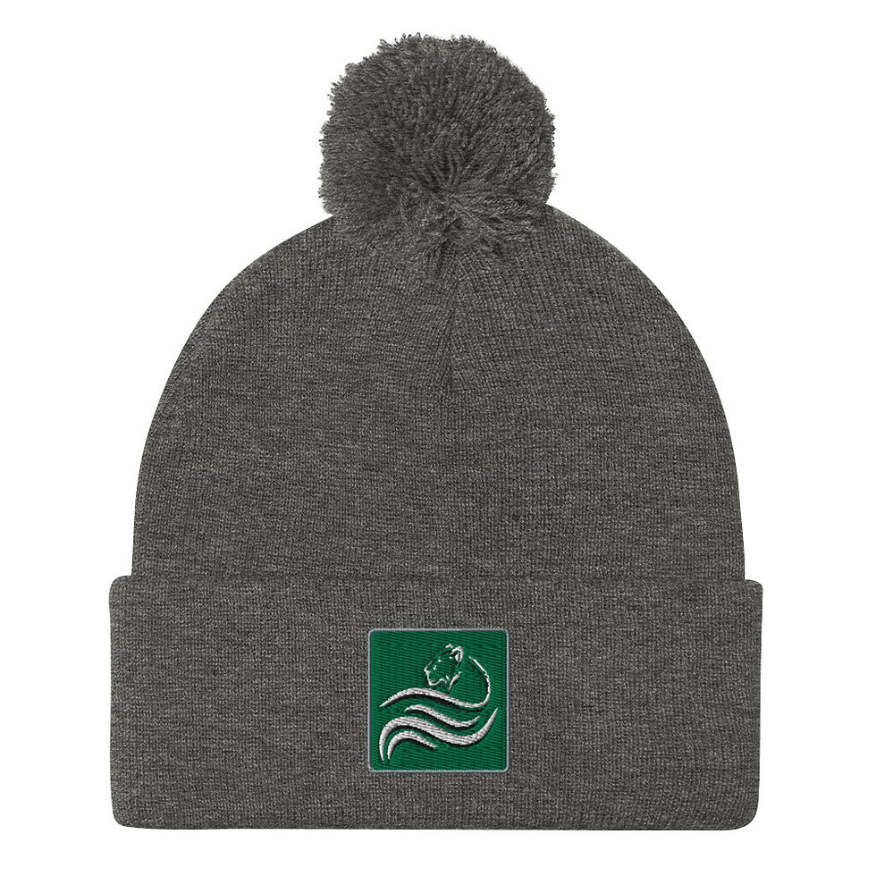 Thumbnail: Solomon Financial Pom-Pom Beanie