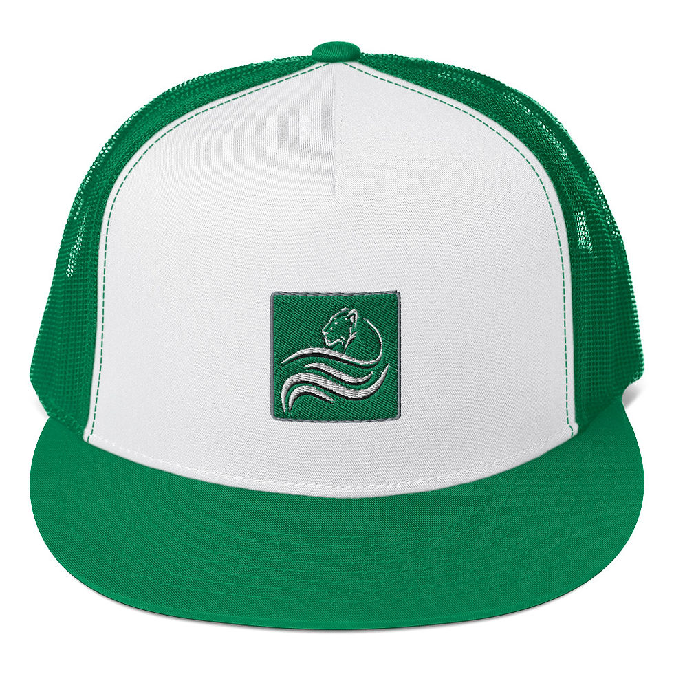 Thumbnail: Solomon Financial Trucker Cap