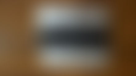 To Plan A Mockingbird