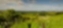 WD - 2024-04-22T212447.404.png
