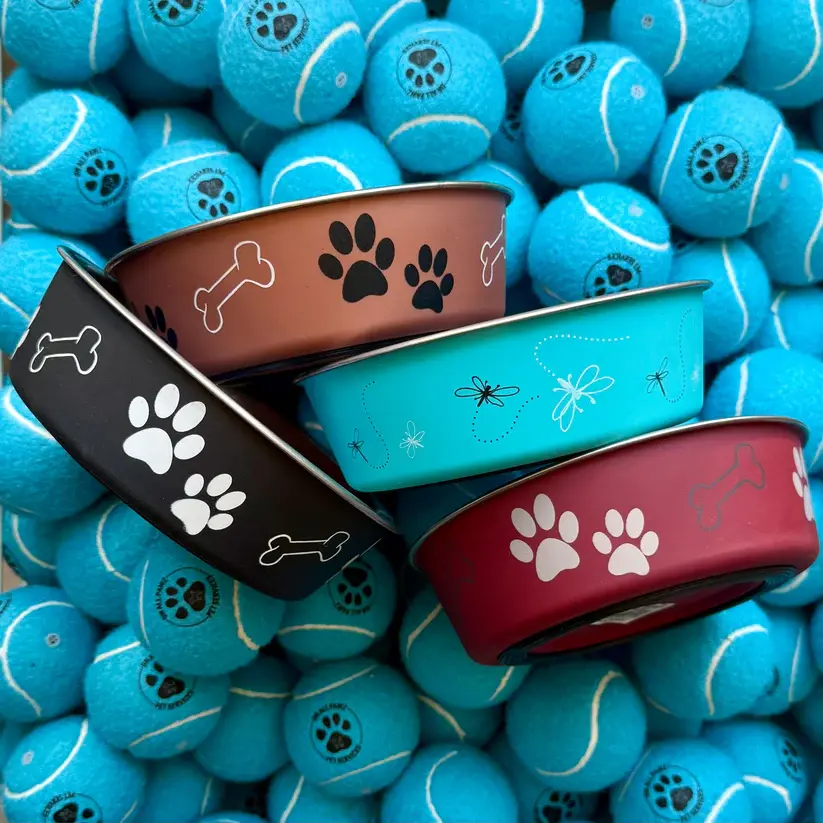 Bella Bowl Dog Feeding Dish Medium | Stainless Steel | Non-Skid