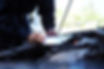 AdobeStock_280754115 (1).jpeg