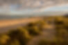 AdobeStock_164943720.jpeg