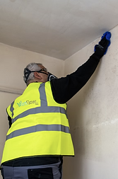 Mould removal.png