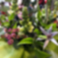 323704303_2410957829063705_3888304230534020764_n.jpg