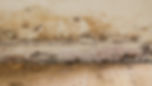 rising-damp.jpg