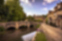 AdobeStock_546569630.jpeg