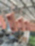 Components - 1.jpeg