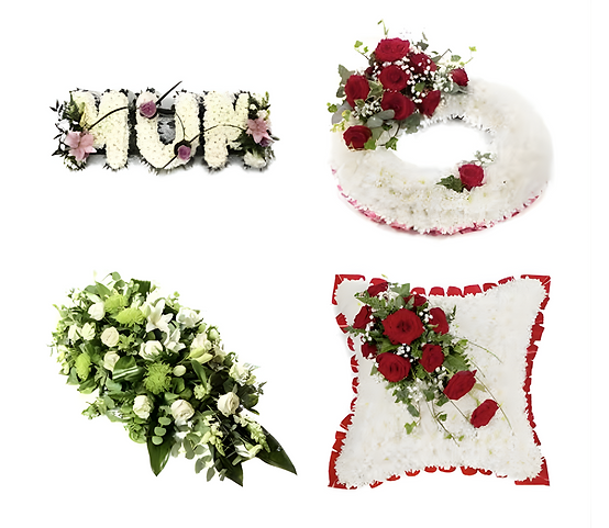 Web Asset (16).png