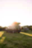 DSC07656-Edit.jpg