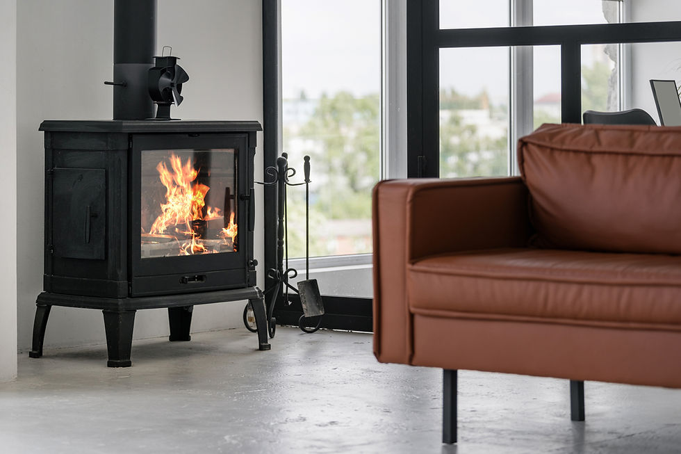 Modern Fireplace_edited.jpg