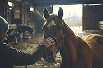 vecteezy_horse-grooming-bonding-groomer-braiding-mane-in-barn-with_48610856.jpg