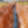 Untitled design - 2024-12-09T114758.047.png