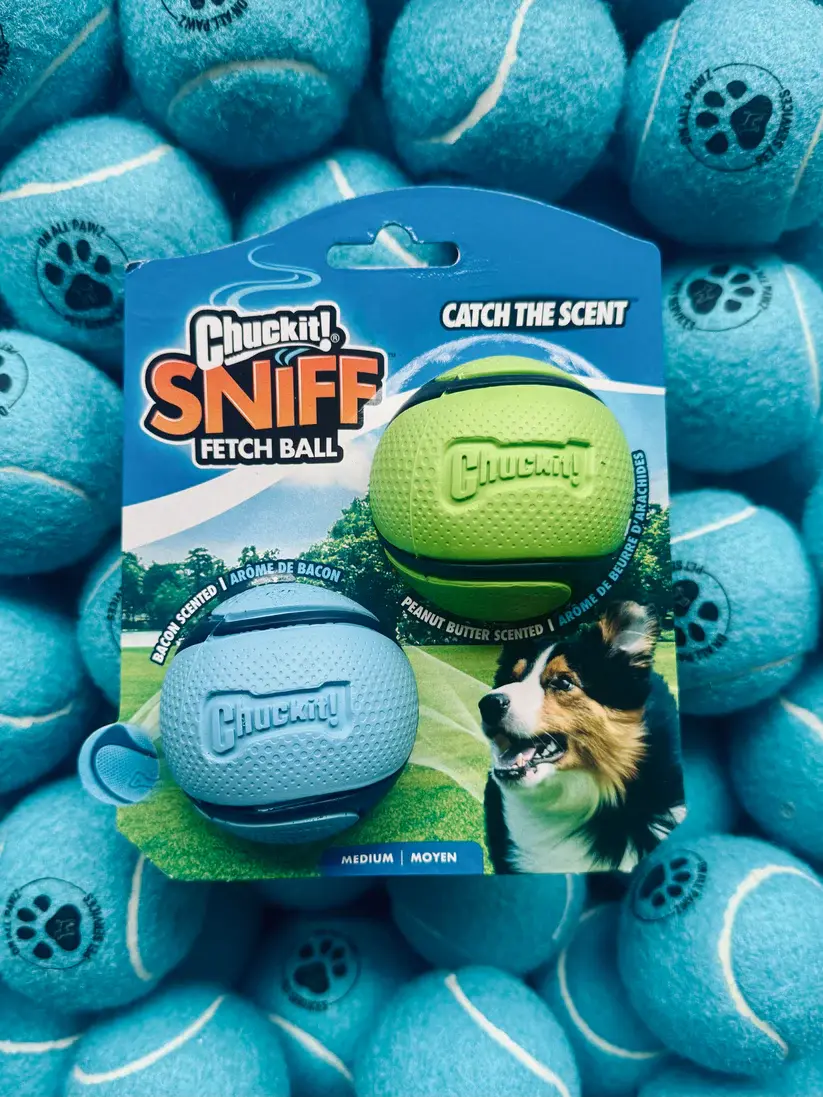 Chuckit! Sniff Fetch Balls Duo Pack | Scented Dog Fetch Toys