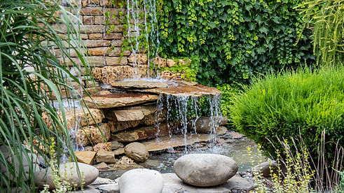 watergarden.jpg