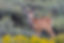 AdobeStock_238049167.jpeg