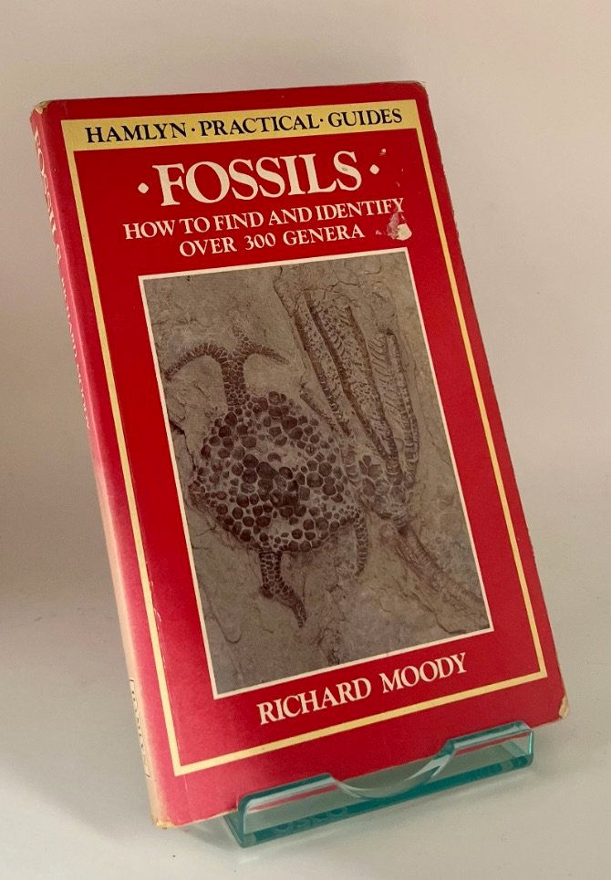 Fossils By Richard Moody