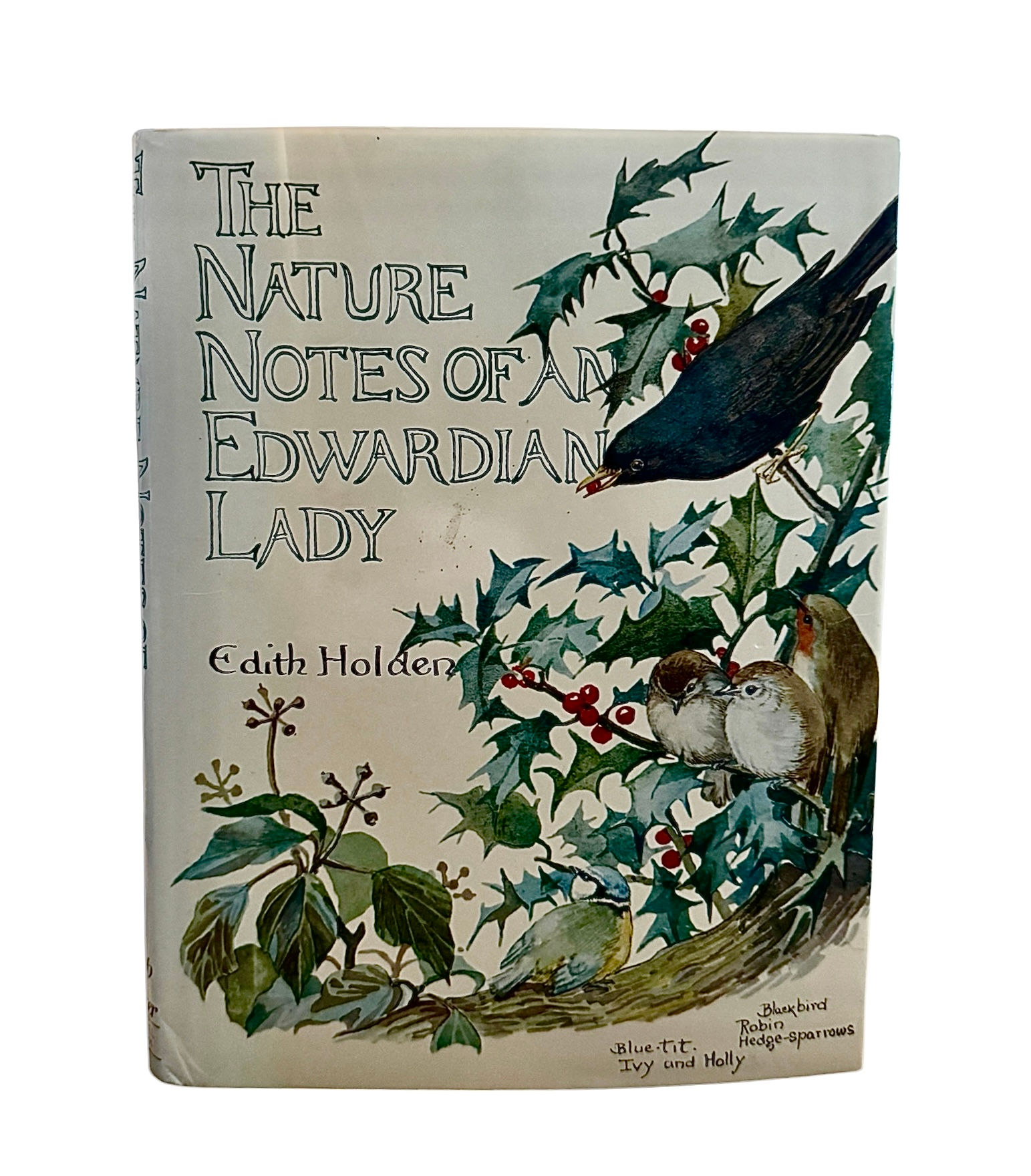 The Nature Notes of an Edwardian Lady By Edith Holden