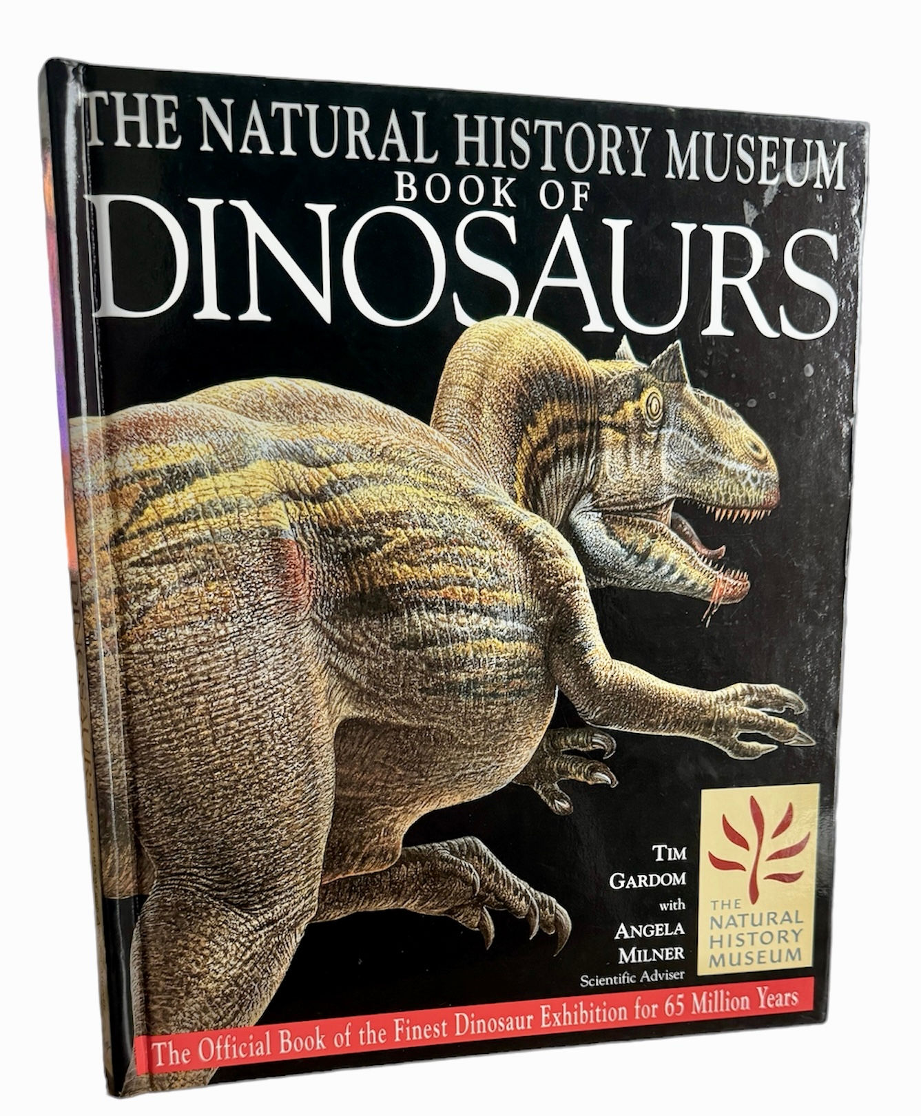 The Natural History Museum Book of Dinosaurs