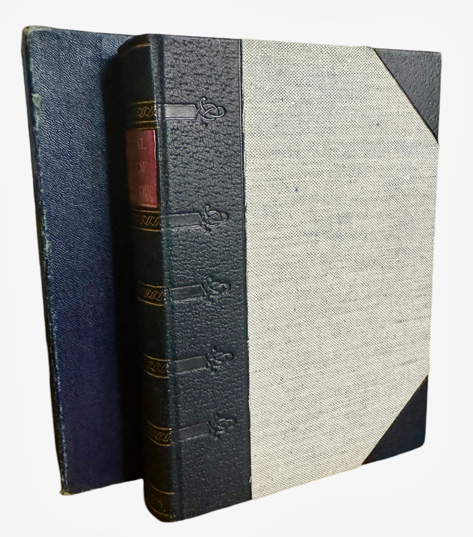 Longfellow's Poetical Works