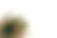 AdobeStock_1804499.jpeg