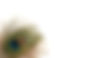 AdobeStock_1804499.jpeg