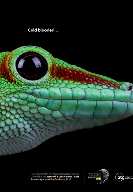 CAMPAÑA REPTILES SANGRE FRÍA.jpg